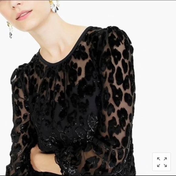 J Crew Flutter Hem Drop Waist Leopard Print Shimmer Velvet Burnout Dress Sz 2T - Picture 4 of 12